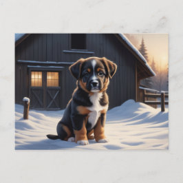 Cartão Postal Carte Postale Chien Série 6 09