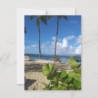 Cartão Postal Carte postale Guadeloupe