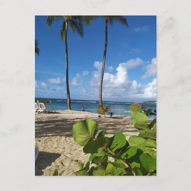 Cartão Postal Carte postale Guadeloupe (Frente)