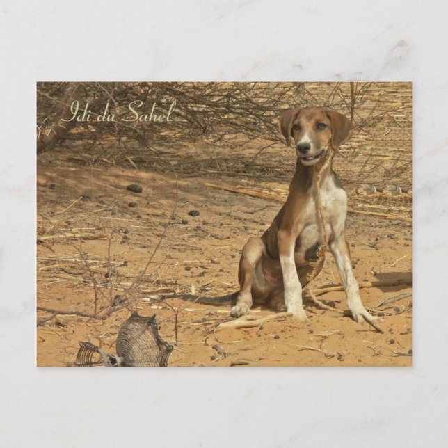 Cartão Postal Carte postale Idi du Sahel (Frente)
