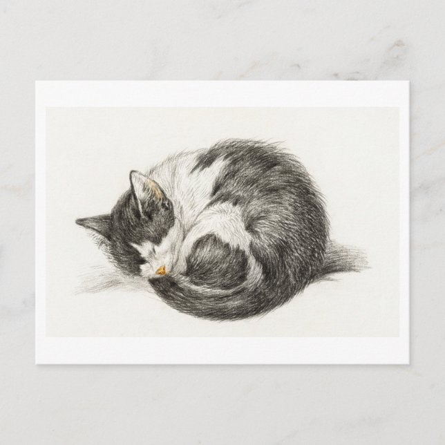 Cartão Postal Carte Postale Joyeux Anniversaire Chaton (Frente)