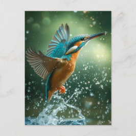 Cartão Postal Carte postale Kingfisher