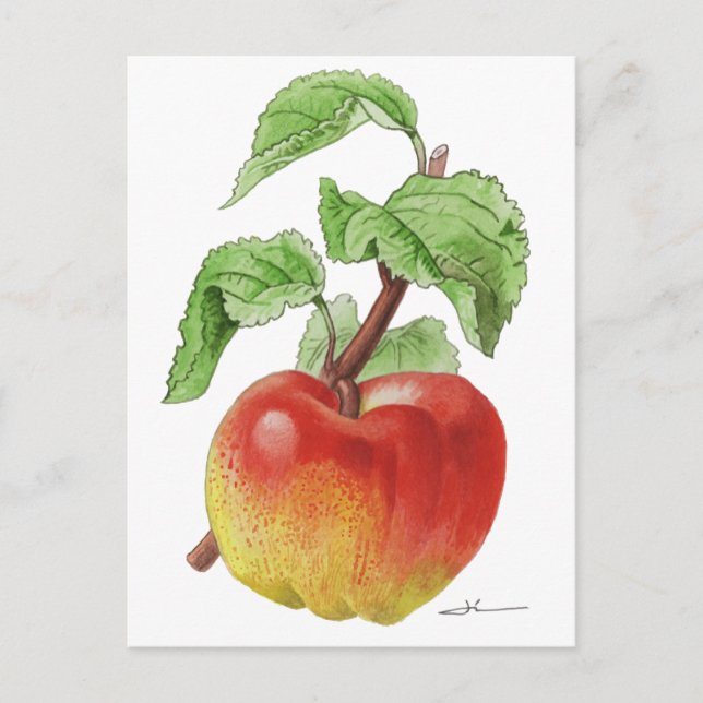 Cartão Postal Carte postale " Pomme Jeanne Hardy " (Frente)