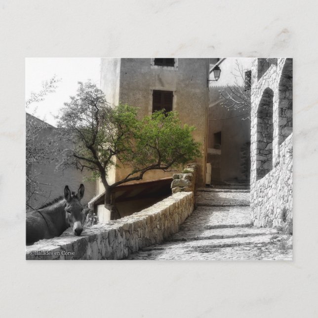 Cartão Postal Carte postale SANT'ANTONINO (Frente)