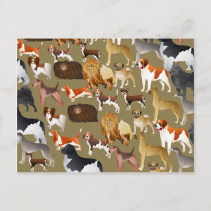 Cartão Postal Carteira de Cachorro de Pedigree