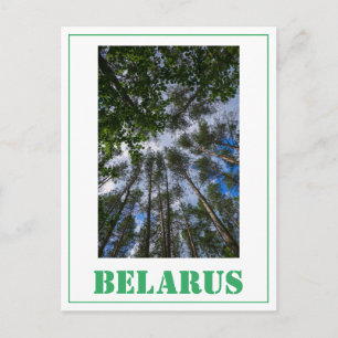 Cartão Postal Carteira postal da "Nature Landscape Look Forest B