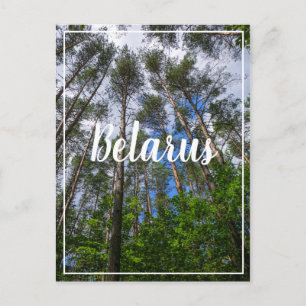 Cartão Postal Carteira postal da "Nature Landscape Look Forest B