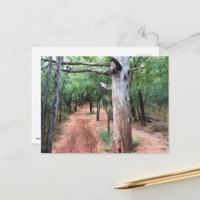 Cartão Postal Carteira postal e trilha (Frente/Verso In Situ)