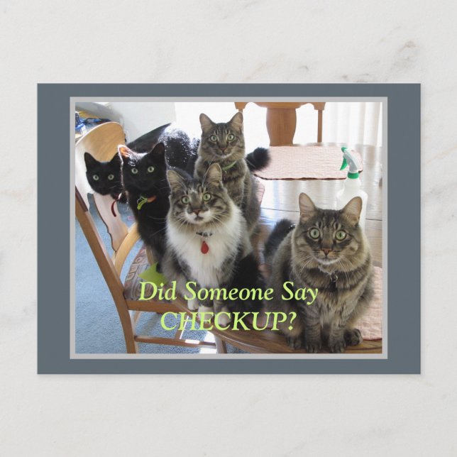 Cartão Postal Carterinha de Revisão da Gangue Veterinária de Gat (Frente)