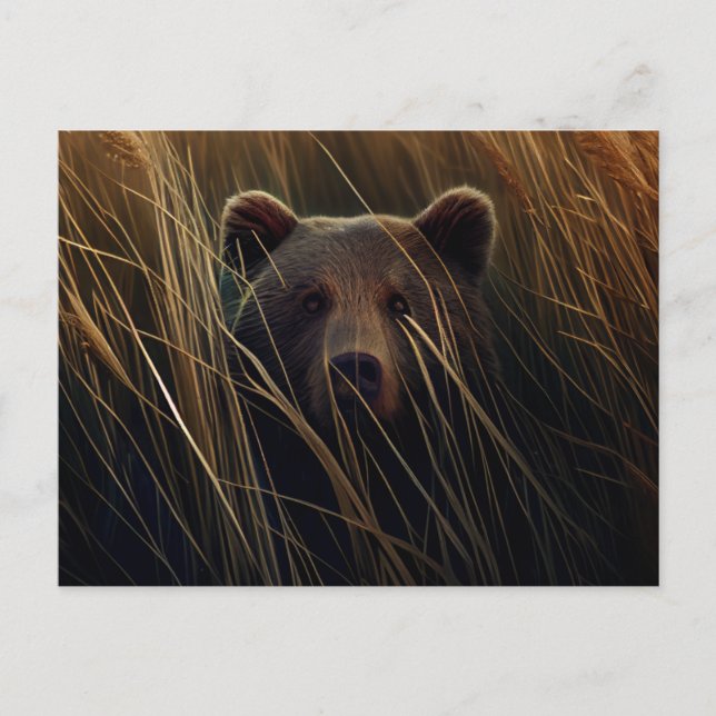 Cartão Postal Cartes Postales bear herbe (Frente)