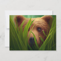 Cartes Postales bear herbe