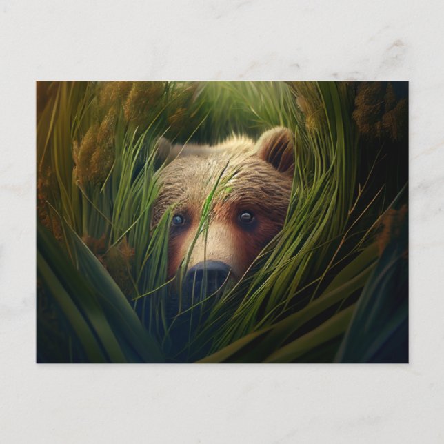 Cartão Postal Cartes Postales bear herbe (Frente)
