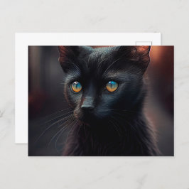 Cartão Postal Cartes Postales Black Cat