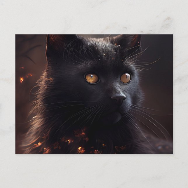Cartão Postal Cartes Postales Black Cat (Frente)