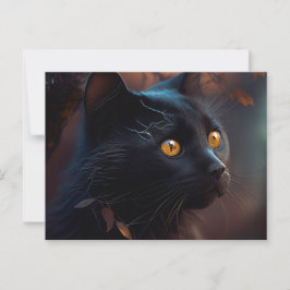 Cartão Postal Cartes Postales Black Cat