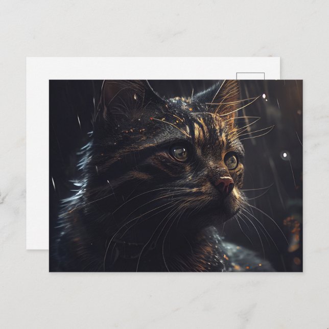 Cartão Postal Cartes Postales Black Cat (Frente/Verso)