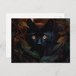 Cartão Postal Cartes Postales Black Cat