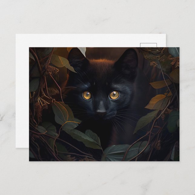 Cartão Postal Cartes Postales Black Cat (Frente/Verso)