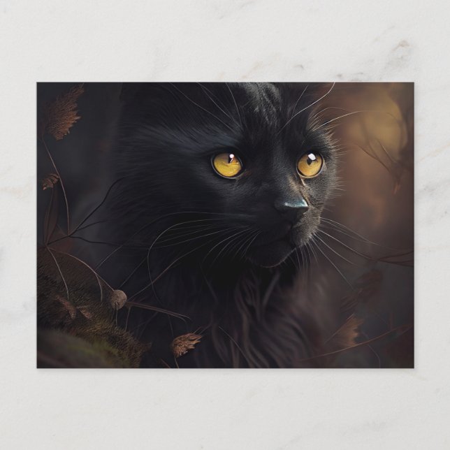 Cartão Postal Cartes Postales Black Cat (Frente)