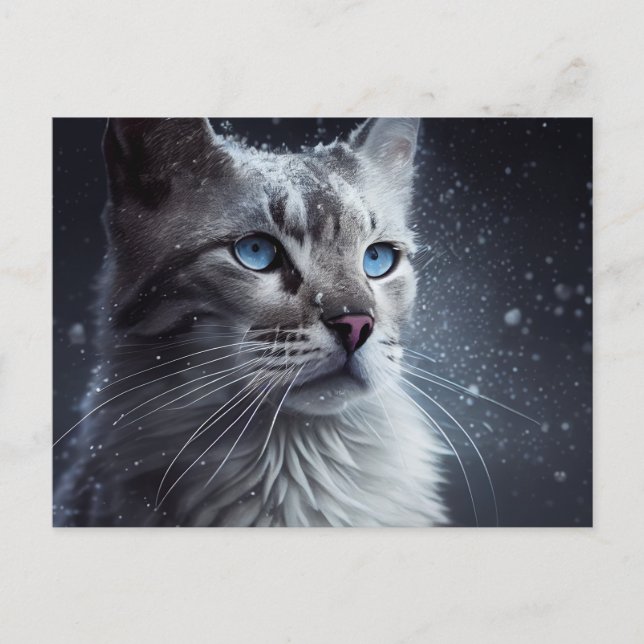 Cartão Postal Cartes Postales Cat Divers (Frente)