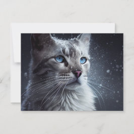 Cartão Postal Cartes Postales Cat Divers