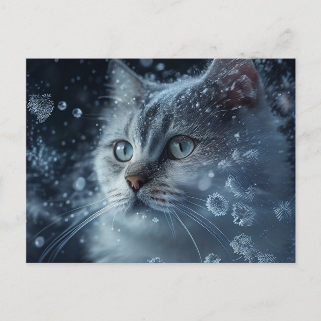 Cartão Postal Cartes Postales Cat Divers (Frente)