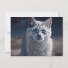 Cartão Postal Cartes Postales Cat Divers