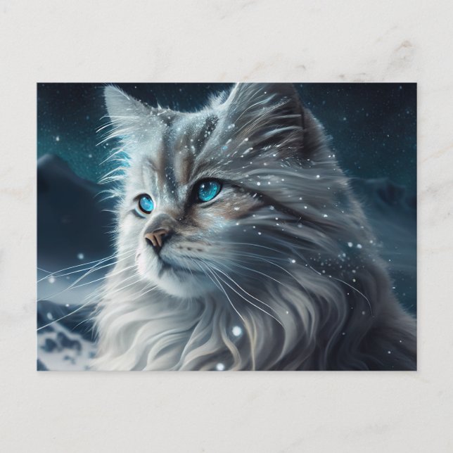 Cartão Postal Cartes Postales Cat Divers (Frente)