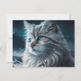 Cartão Postal Cartes Postales Cat Divers