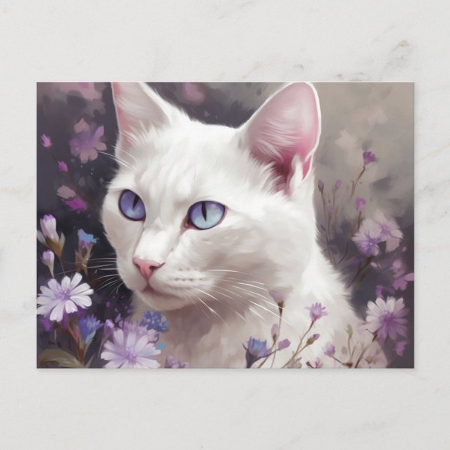 Cartão Postal Cartes Postales Cat Divers (Frente)