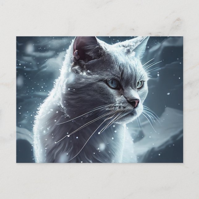 Cartão Postal Cartes Postales Cat Divers (Frente)