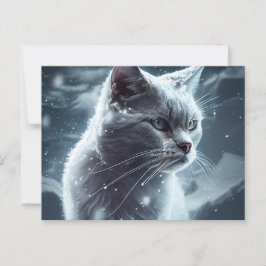 Cartão Postal Cartes Postales Cat Divers