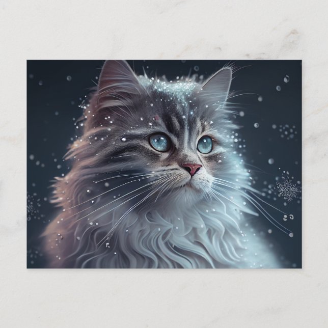 Cartão Postal Cartes Postales Cat Divers (Frente)