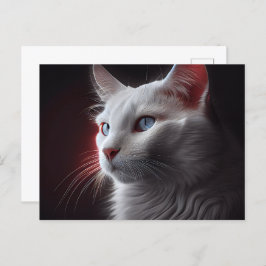 Cartão Postal Cartes Postales Chat Blanc