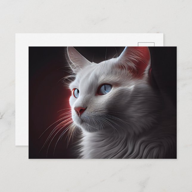 Cartão Postal Cartes Postales Chat Blanc (Frente/Verso)