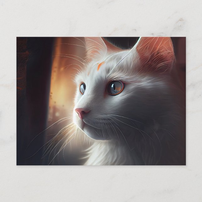 Cartão Postal Cartes Postales Chat Blanc (Frente)