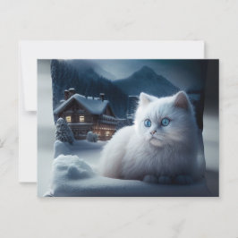 Cartão Postal Cartes Postales Chat Blanc