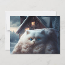 Cartes Postales Chat Blanc