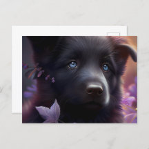 Cartes Postales Chien Mauve