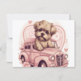 Cartão Postal Cartes Postales Dog Yorkshire