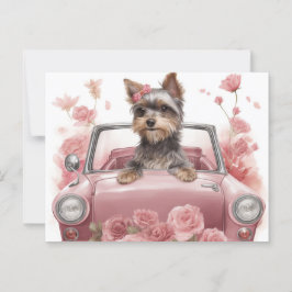 Cartão Postal Cartes Postales Dog Yorkshire