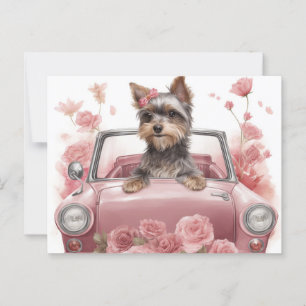Cartão Postal Cartes Postales Dog Yorkshire