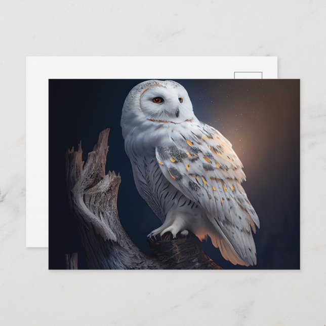 Cartão Postal Cartes Postales snowy owl (Frente/Verso)