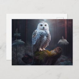 Cartão Postal Cartes Postales snowy owl