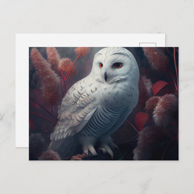 Cartão Postal Cartes Postales snowy owl (Frente/Verso)