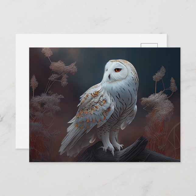 Cartão Postal Cartes Postales snowy owl (Frente/Verso)