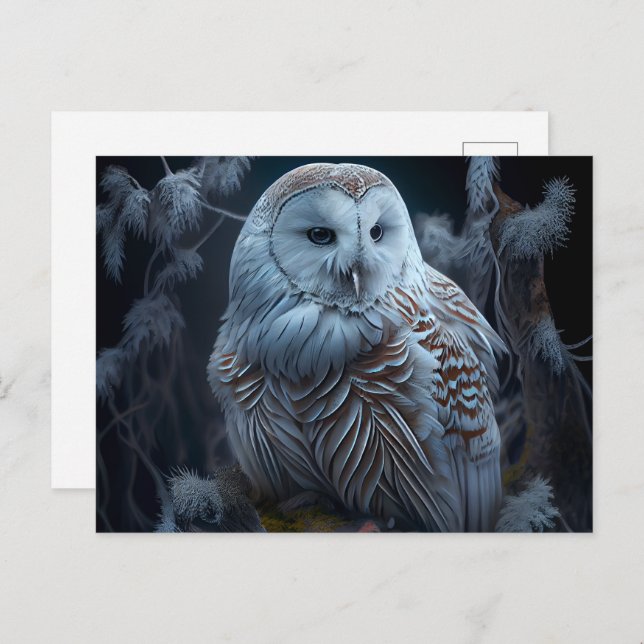 Cartão Postal Cartes Postales snowy owl (Frente/Verso)