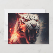 Cartes Postales White Tiger