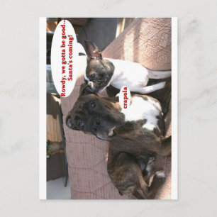 Cartão Postal Cartões: Crapola