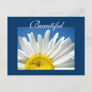 Cartão Postal Cartões-postais bonitos Flores Brancas Daisy Flowe